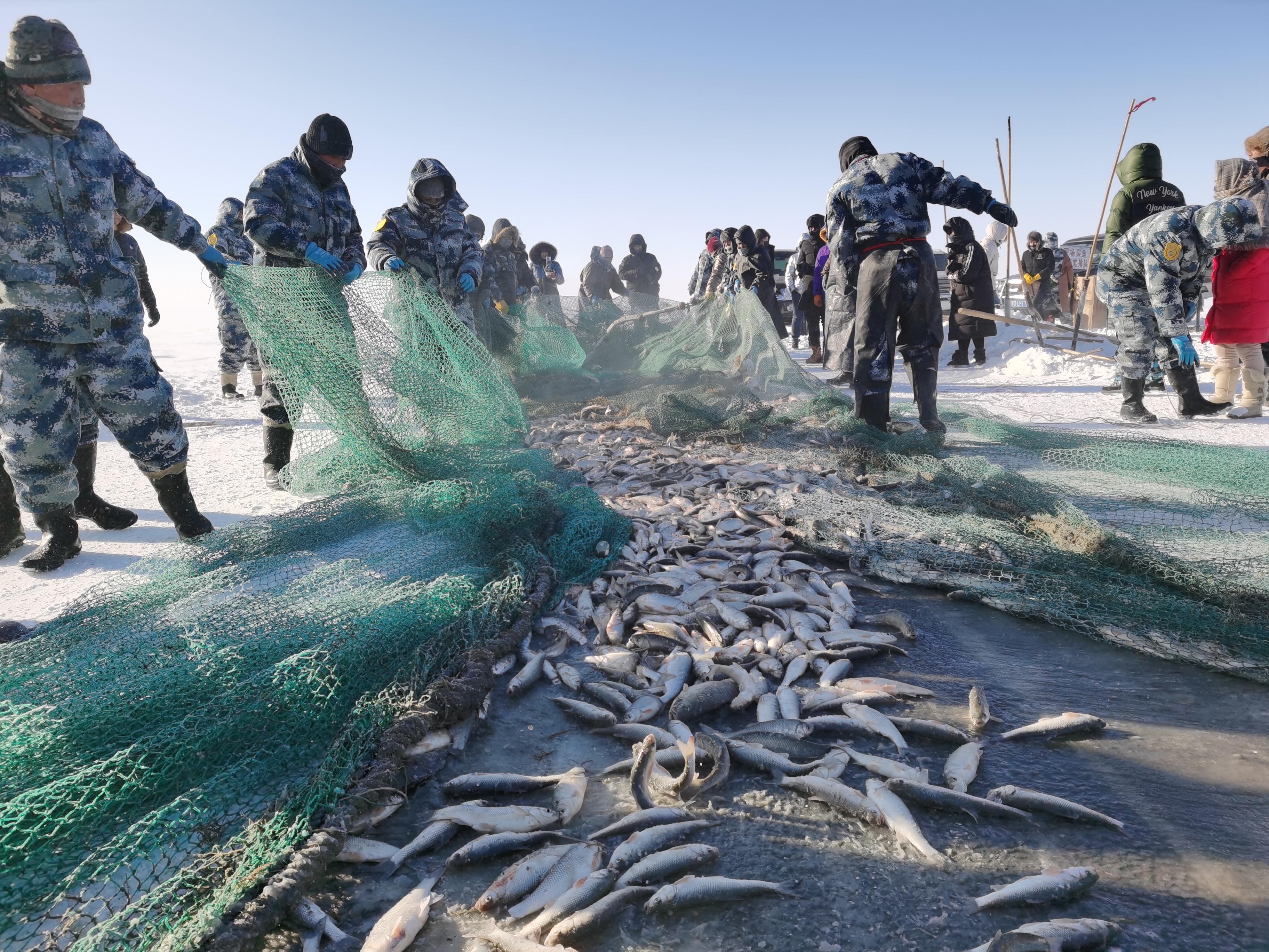 冰面上的捕魚工人看上去就像達里湖的愛斯基摩人，他們用智慧和勤勞將這巨大冰塊的沉寂打破。是的，這塊冰下確實不平靜，在這巨冰之下生活着達里湖特有的魚類，自漁場成立以來，達里湖已經有了半個多世紀的漁業生產史。