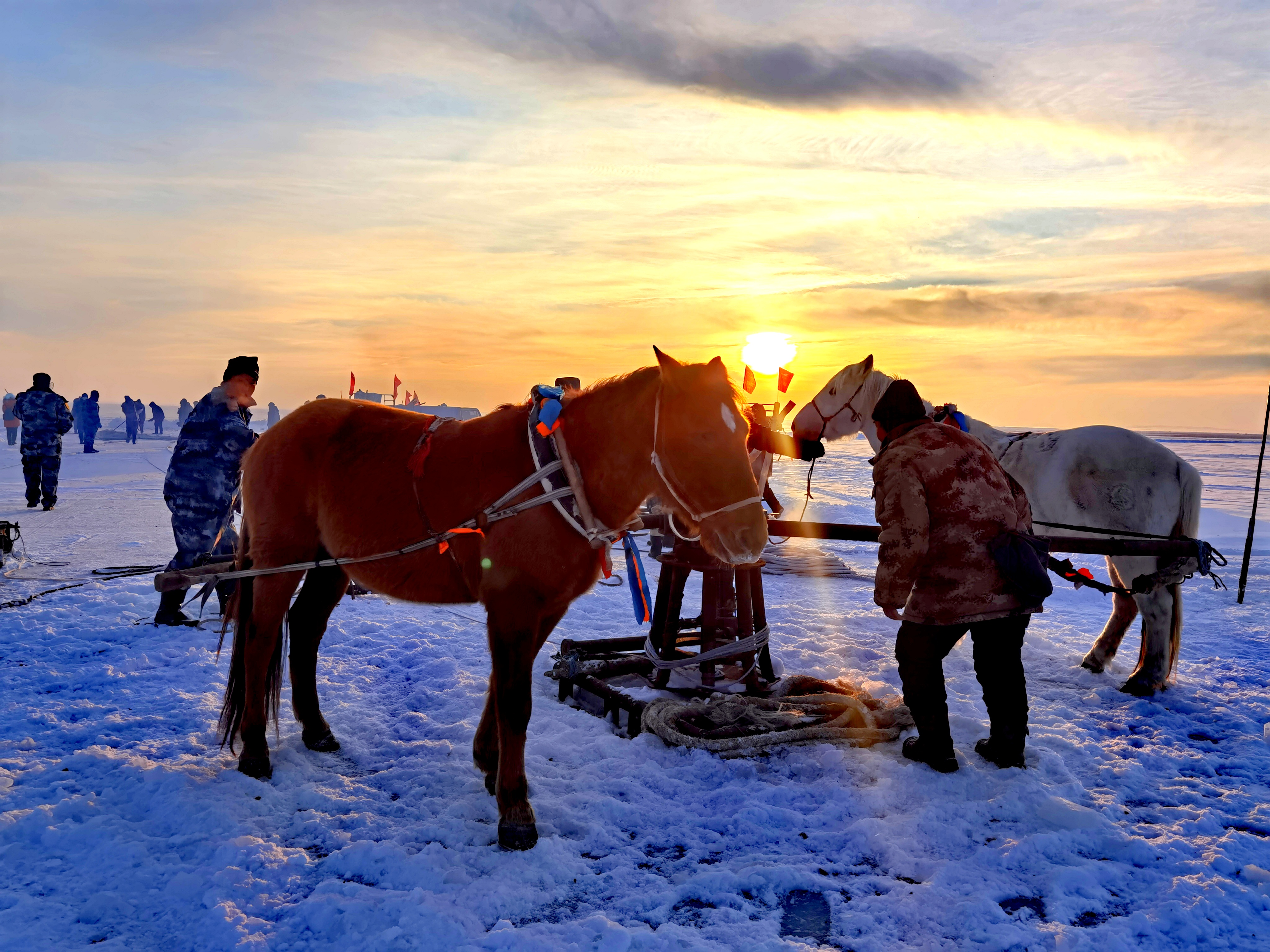 冬季達里湖方圓兩百多平方公里的大冰塊真的美極了。如果您選擇在寒冷的冬季出遊達里湖，一定不會讓您失望，一起來了解關於達里湖冬季的故事吧！
