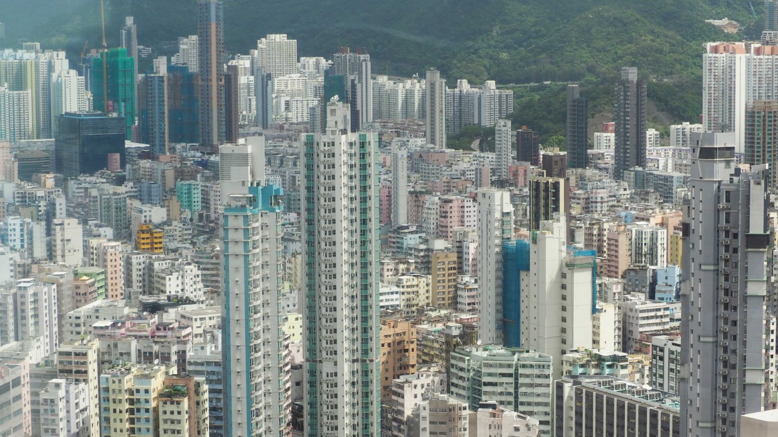 調查：香港千萬富翁51.5萬人　創歷年新高