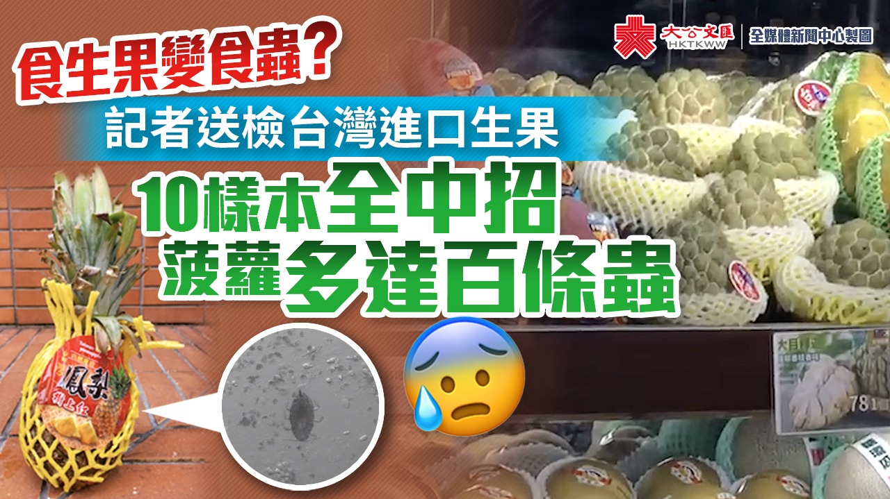 食生果變食蟲？記者送檢台灣進口生果10樣本全中招 　菠蘿多達百條蟲