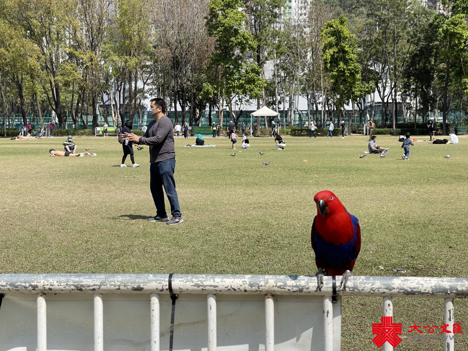 香港第五波疫情持續嚴峻，單日確診個案首次破萬，昨日再多10010宗確診個案，連同初確在內的呈報個案近2.2萬宗。今日（26日）記者走訪維多利亞公園，休閒市民大都遵守限聚令及戴口罩，惟仍有部分外傭超過二人聚集，有康文署人員現場巡查。（大公文匯全媒體記者攝）