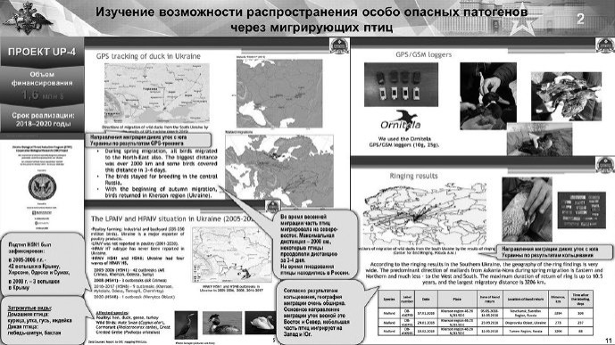 俄軍拋出重磅證據：美在烏克蘭進行過蝙蝠冠狀病毒樣本實驗