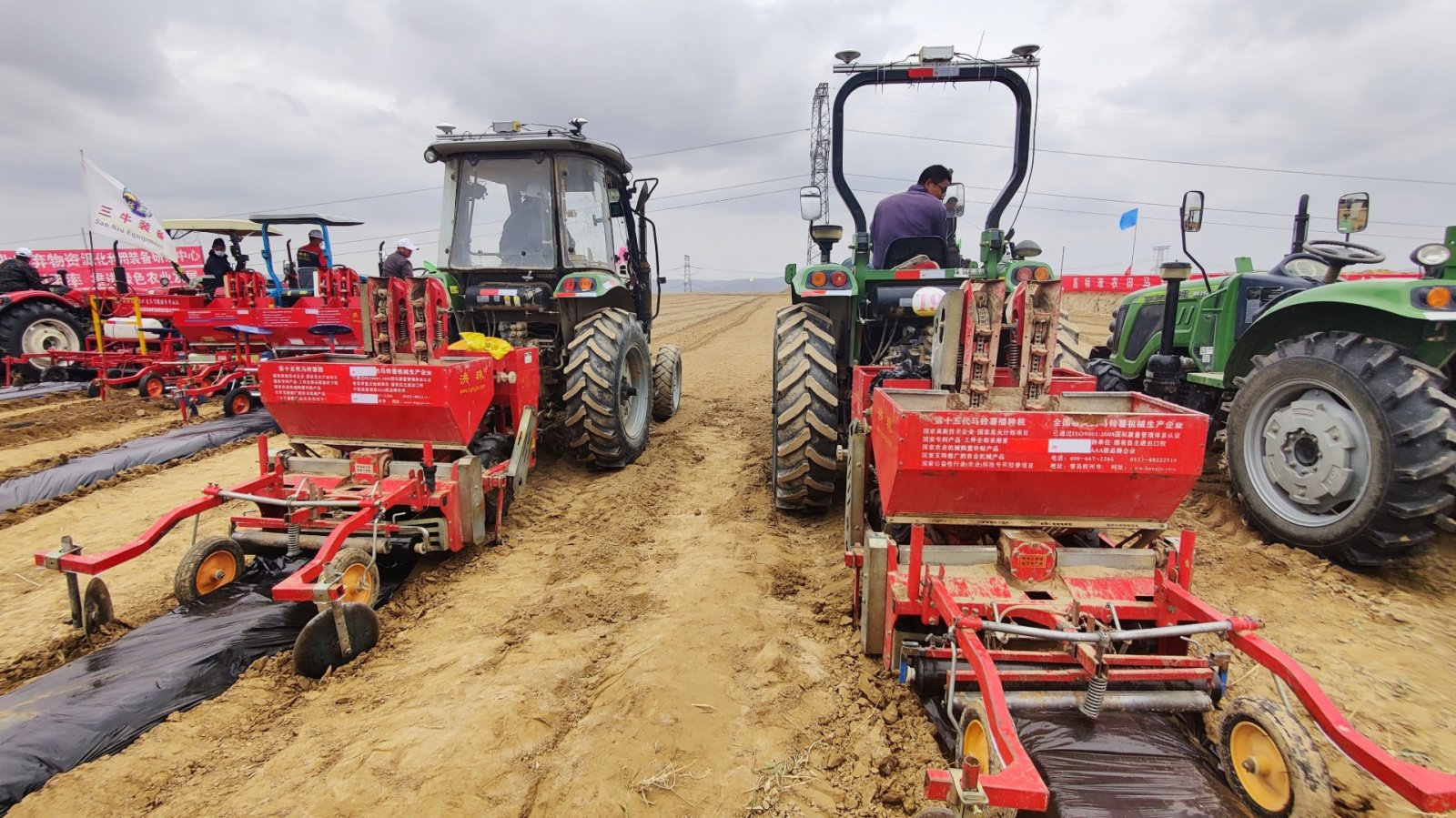 甘肅完成播種糧食3645萬畝　整治撂荒土地確保糧食安全