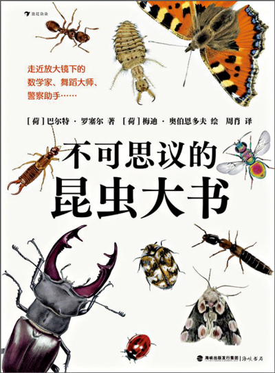 書 訊/《不可思議的昆蟲大書》