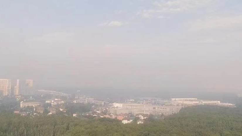 俄羅斯梁贊州發生森林火災　煙霧擴散至莫斯科