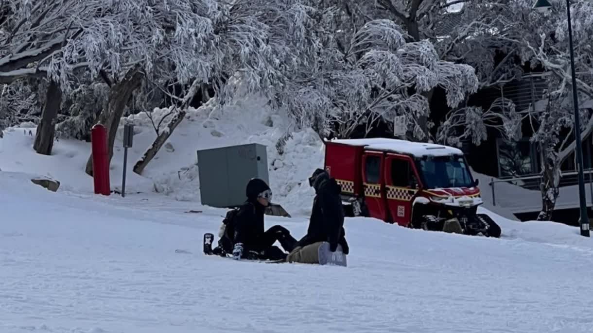 傳與霆鋒世紀復合　柏芝經理人拍片回應