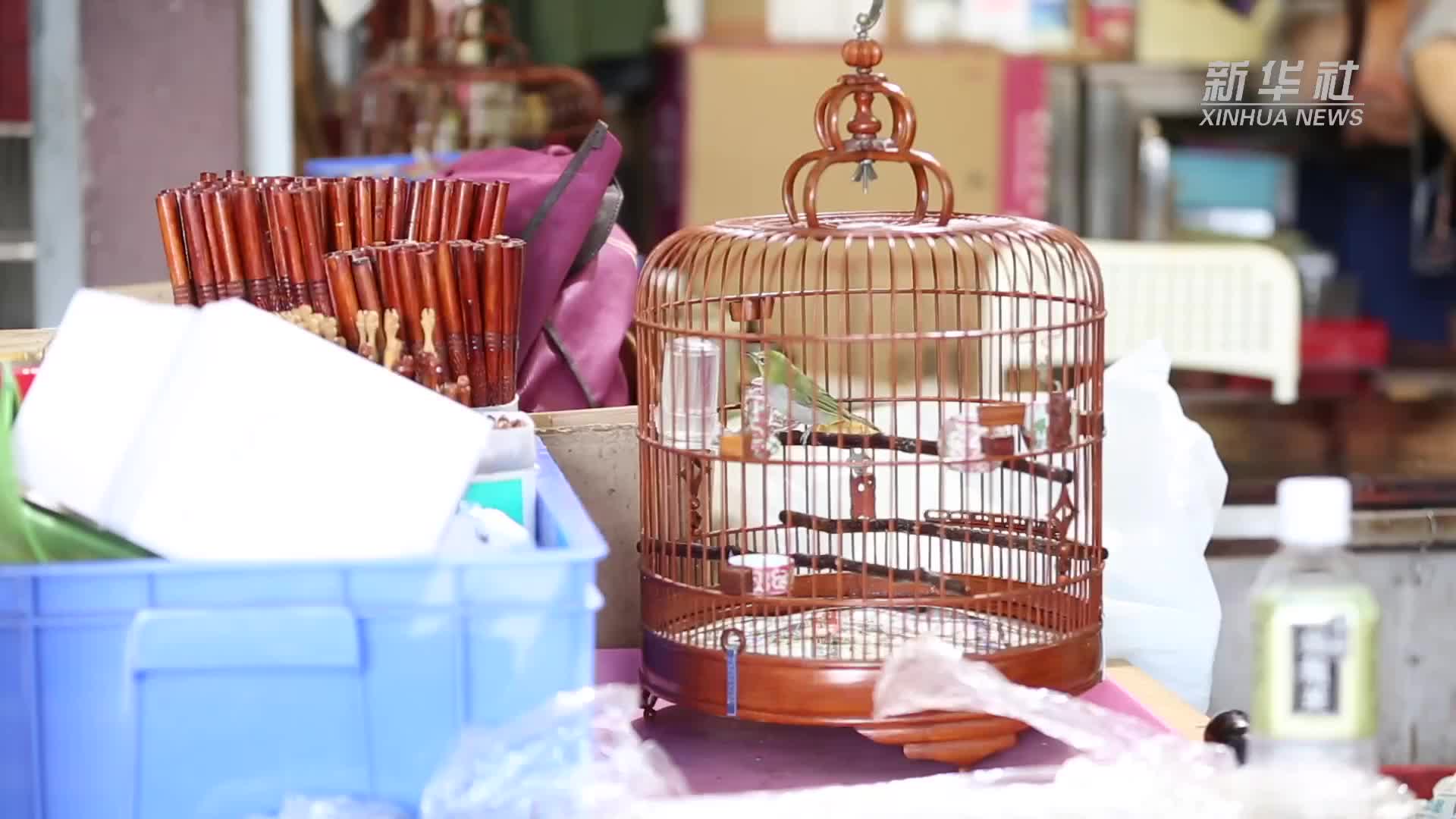 香港故事︱香港雀籠技藝：守護者覓得新傳人- 香港- 大公文匯網