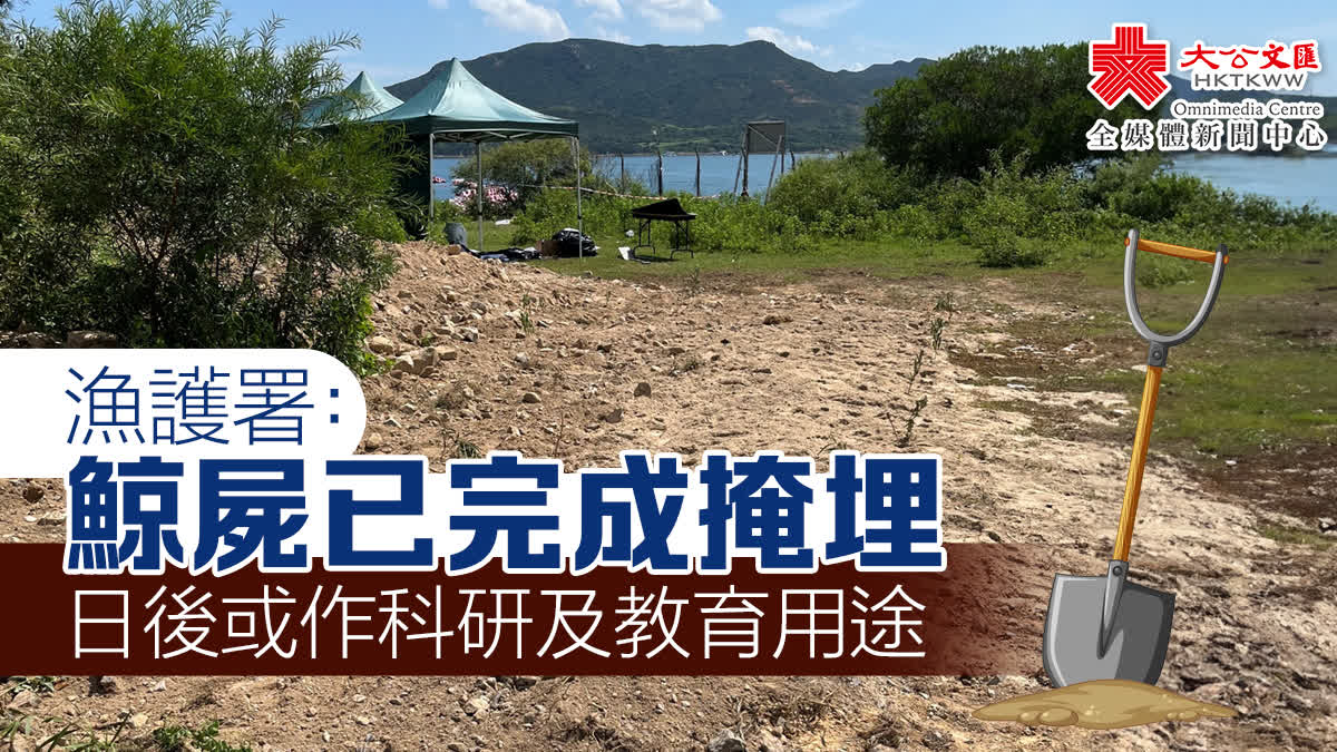 香港 發現 鯨魚 (99) 사진