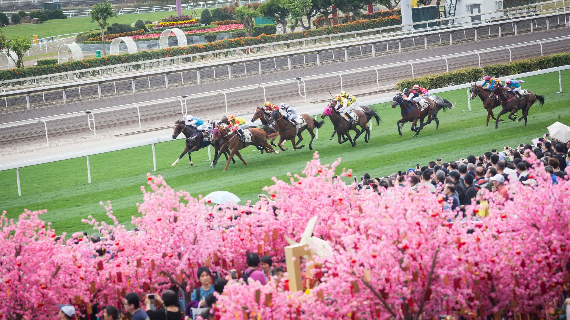 年初三賽馬日｜新春金多寶頭獎超1億　馬會六大賀年「發」寶開年行大運