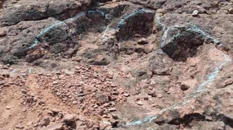 雲南祿豐發現距今約1.2億年恐龍足跡化石群