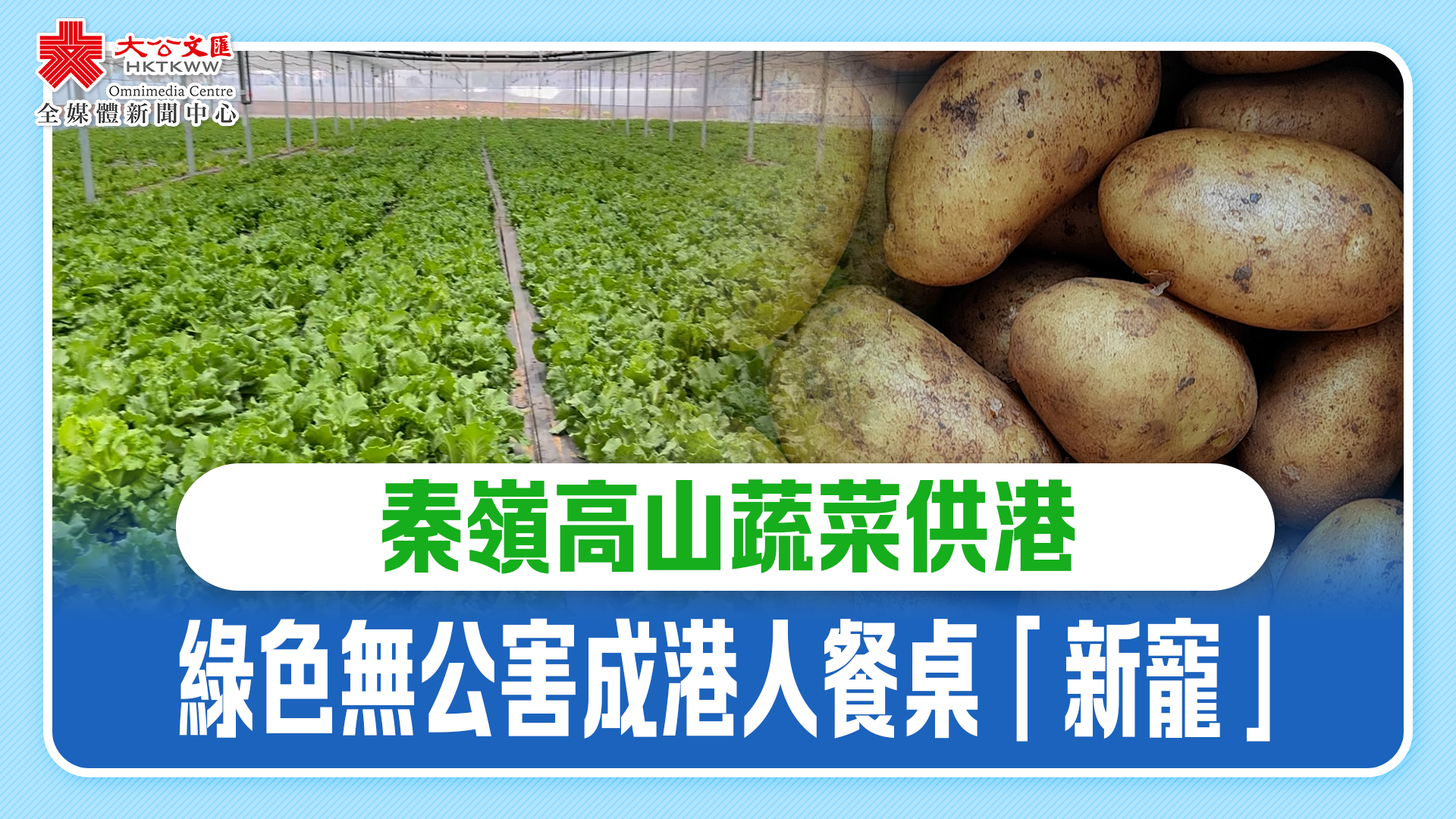 （有片）秦嶺高山蔬菜供港　綠色無公害成港人餐桌「新寵」