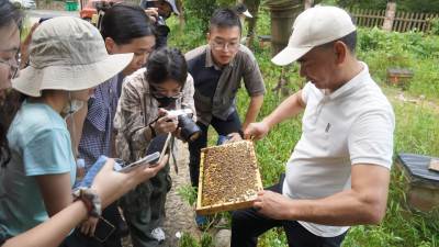 范長江行動江西行｜走進中華蜜蜂谷　探尋助力鄉村振興的甜蜜密碼