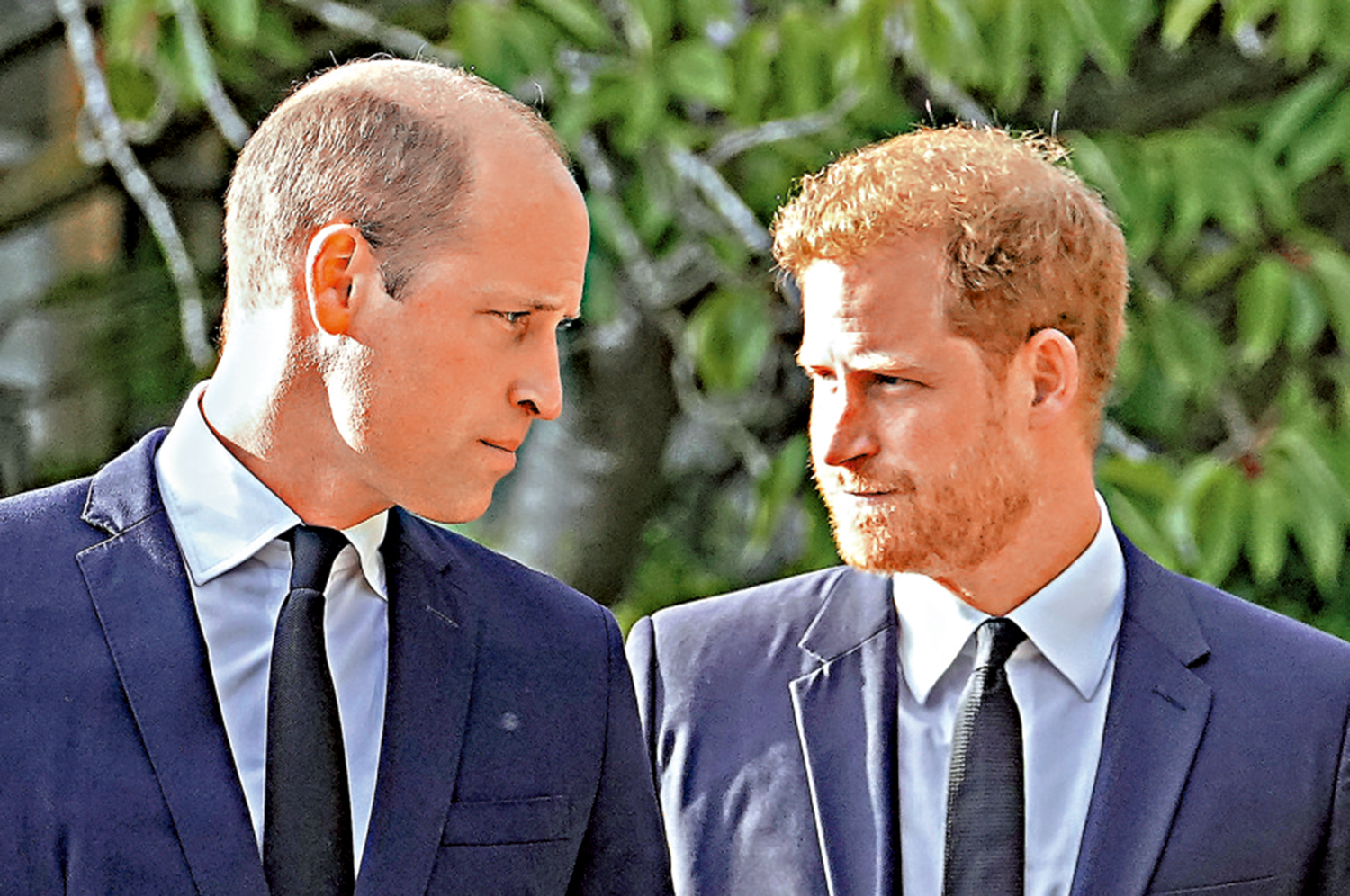 哈里王子40歲生日收700萬英鎊「利是」 - 國際- 今日大公