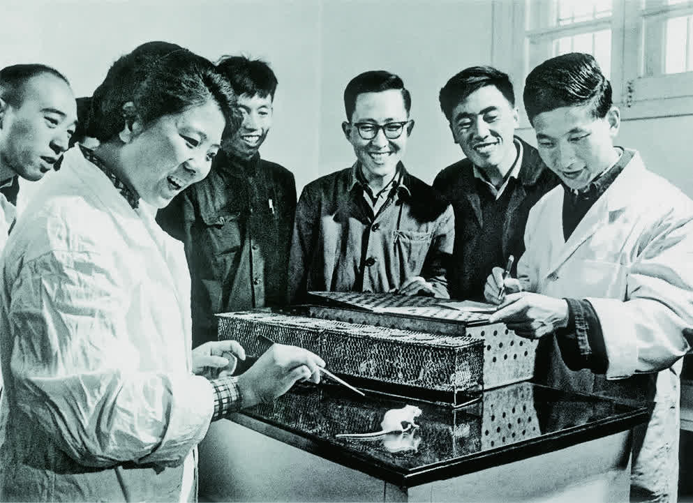 1965年9月17日：中國首次人工合成結晶牛胰島素
1965年9月17日，中國科學院生物化學研究所、北京大學、中國科學院有機化學研究所成功協作完成人工合成結晶牛胰島素，這是當時人工合成的具有生物活力的最大的天然有機化合物，實驗的成功使中國成為第一個合成蛋白質的國家。圖為科學工作者將人工合成的產物注入小白鼠體內，測驗它的生物活力。