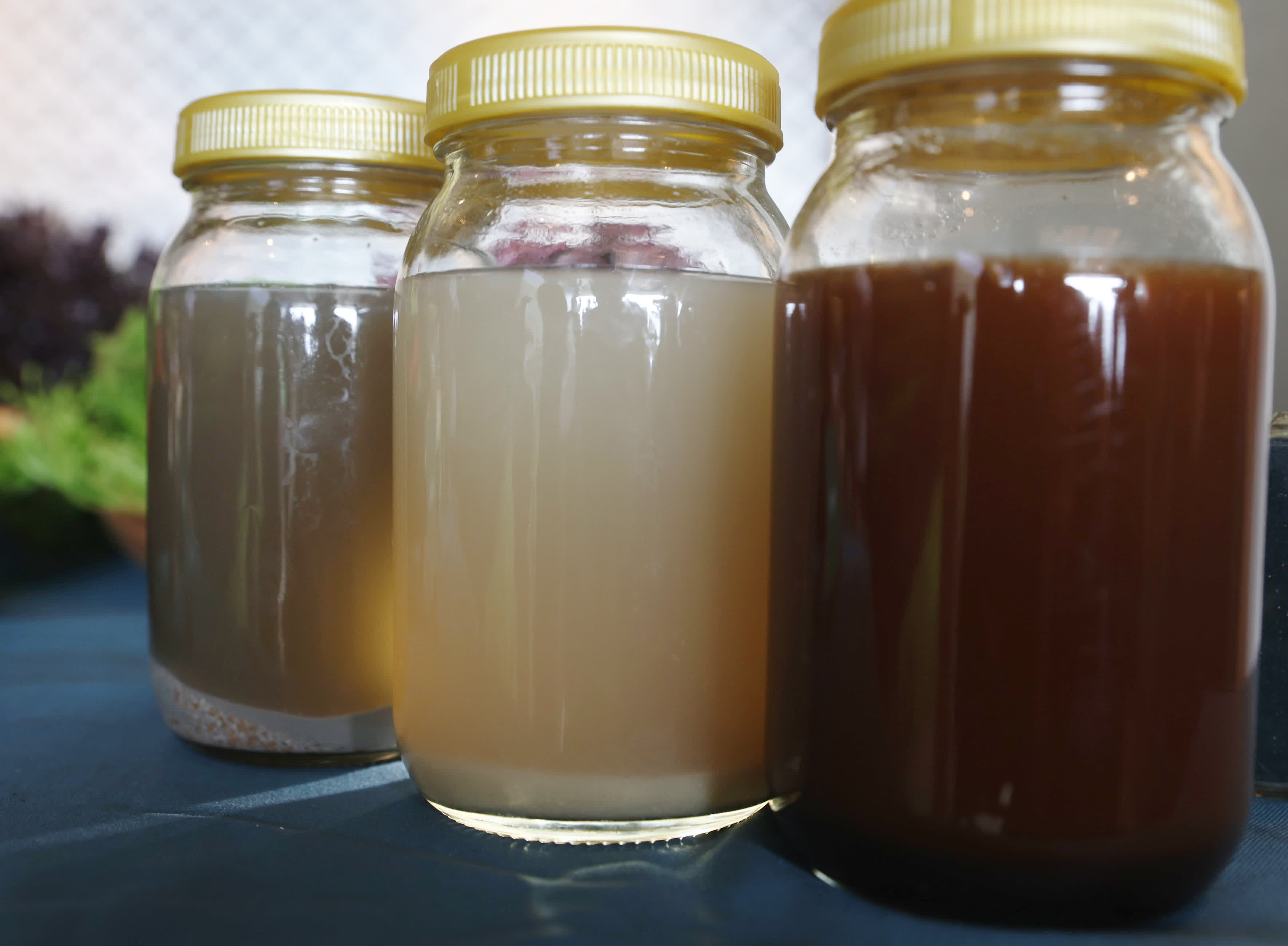 美心集團夥業界推「WeGen farming再生農業」，今天舉行合作啟動禮。場上展示以餐前廚餘轉化而成的酵素耕作、培植的農產品，以及用「再生農產品」烹煮而成的菜式。（香港文匯報記者郭木又攝）