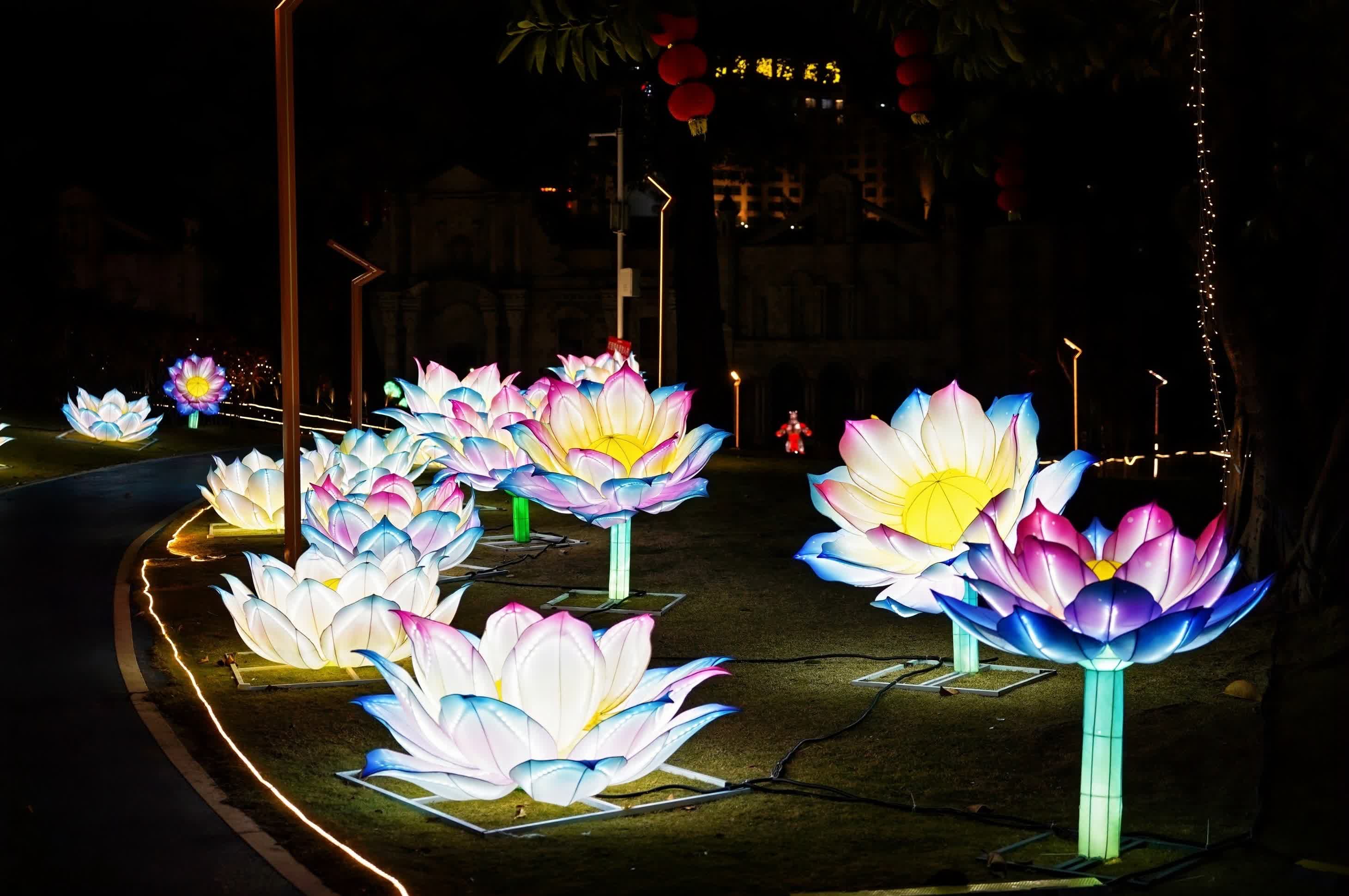 29日晚，2025「花Young莞邑」龍灣花燈會亮燈儀式在東莞龍灣濕地樂跑公園舉行。此次活動時間為1月29日至2月28日，為期一個月，通過璀璨花燈傳遞新春的美好祝福，為市民打造春節期間休閒娛樂的好去處。