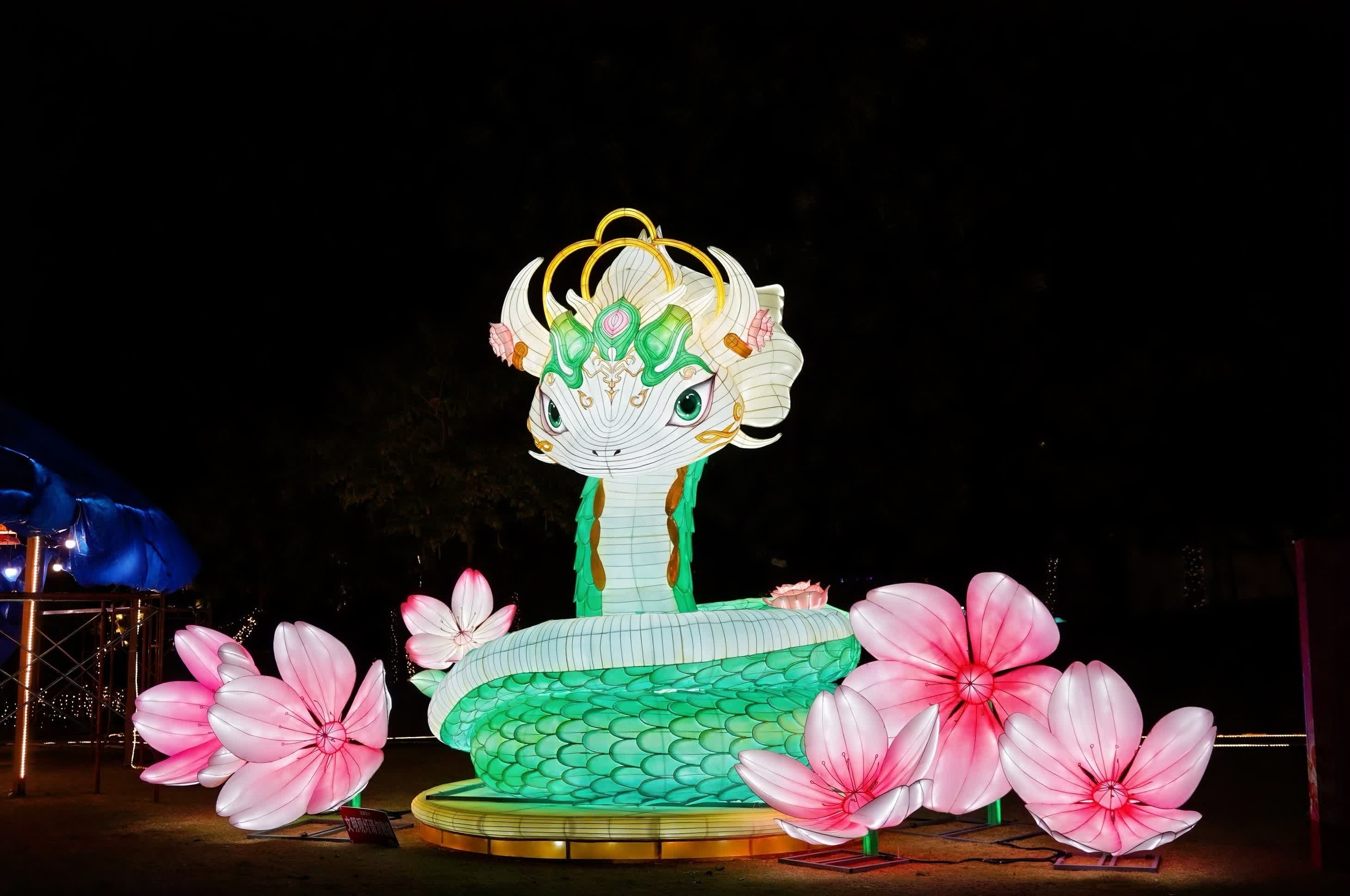 29日晚，2025「花Young莞邑」龍灣花燈會亮燈儀式在東莞龍灣濕地樂跑公園舉行。此次活動時間為1月29日至2月28日，為期一個月，通過璀璨花燈傳遞新春的美好祝福，為市民打造春節期間休閒娛樂的好去處。