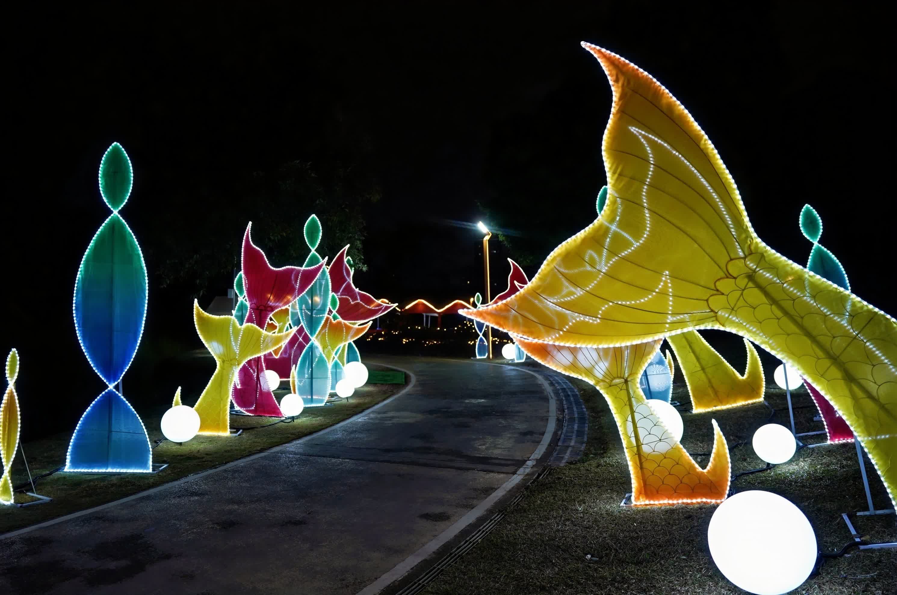 29日晚，2025「花Young莞邑」龍灣花燈會亮燈儀式在東莞龍灣濕地樂跑公園舉行。此次活動時間為1月29日至2月28日，為期一個月，通過璀璨花燈傳遞新春的美好祝福，為市民打造春節期間休閒娛樂的好去處。