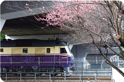 市井萬象/「開往春天的列車」