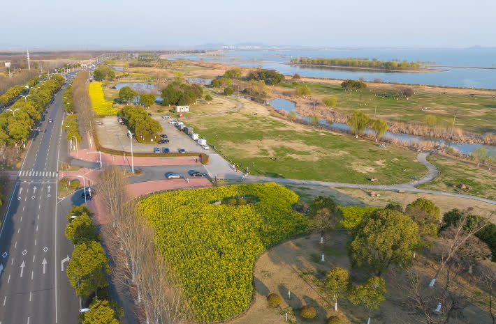 湖畔的小草爭相破土，嫩綠的柳絲輕拂水面，金黃的油菜花競相綻放……仲春時節，在安徽省合肥市包河區南部的巢湖沿岸，春的氣息撲面而來。據悉，這片油菜花田種植總面積約20畝。在這裏，市民們或坐在高高的堤壩上，感受鳥語花香，遠觀湖光山色；或沿着小徑，進入蘆葦深處，近看一湖春水；或開着房車、扎起帳篷露營，仰望廬州星空，與大自然來一次徹夜長談。

【發布】大公文匯國際傳播中心

【採寫】朱順傑

【通訊員】葉玉庭 包宣

【編輯】田欣妍

【審核】鍾俊峰
