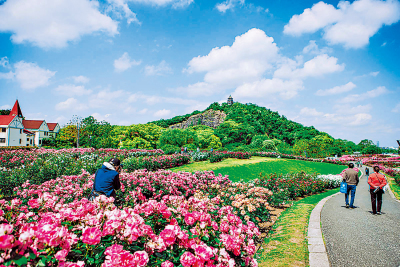 七日談（上海篇）/一朵花出發去旅行了\陳丹燕