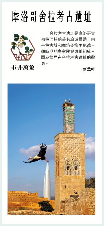 市井萬象/摩洛哥舍拉考古遺址