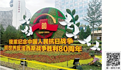 氣氛濃厚/抗戰勝利80周年花壇耀目
