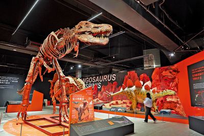 市井萬象/「遇見白堊紀」