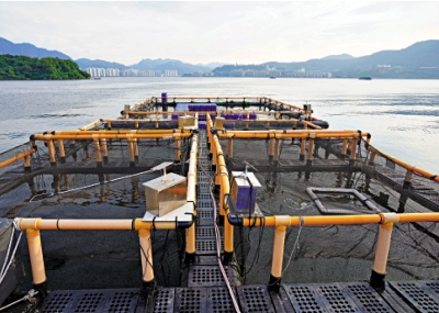 信心保證/水農產品明年中推「香港本地品牌」