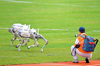 最快最萌機器狗 田徑賽場最忙碌