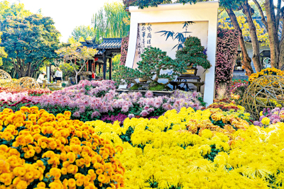 市井萬象/「菊隱个園」