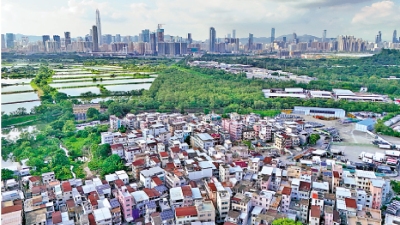 提速提效/參照各地園區經驗 政府統籌引領市場