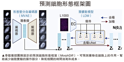 降低成本/用AI預測藥物在細胞上的作用