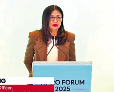 梁鳳儀：正制訂全面數字資產監管框架