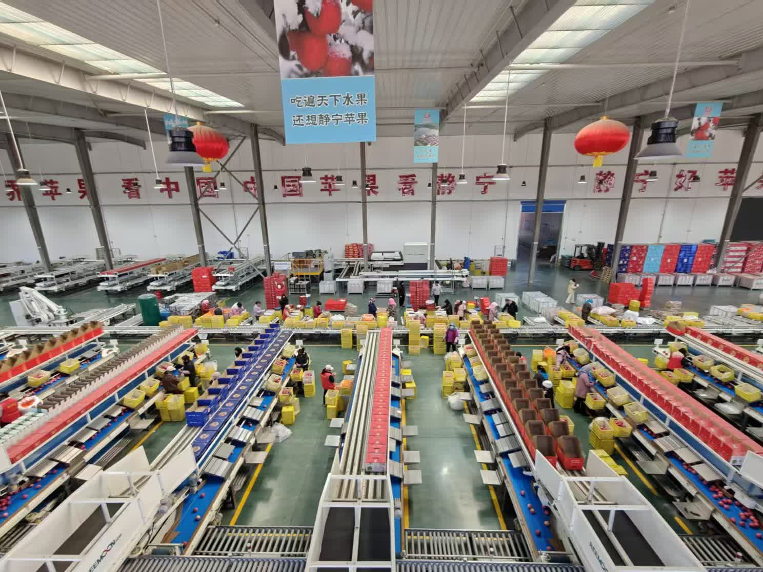 慶陽蘋果，甘肅省慶陽市特產，中國國家地理標誌產品。慶陽位於北緯35°14′28″—37°9′13″之間，海拔1100米—1600米，屬西北黃土高原蘋果優勢區，具備優質蘋果生產的全部7項主要生態指標和6項輔助指標，是中國優質紅富士蘋果適生區。慶陽蘋果以其果實硬度大、果形高樁、色澤鮮艷、蠟質層厚、酸甜適度、耐貯耐運、食用安全等特點著稱。

2009年5月20日，中華人民共和國農業部正式批准對「慶陽蘋果」實施農產品地理標誌保護。2014年04月08日，原國家質檢總局批准對「慶陽蘋果」實施地理標誌產品保護。