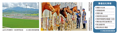 從化馬場辦速度賽馬 打造文體旅新地標