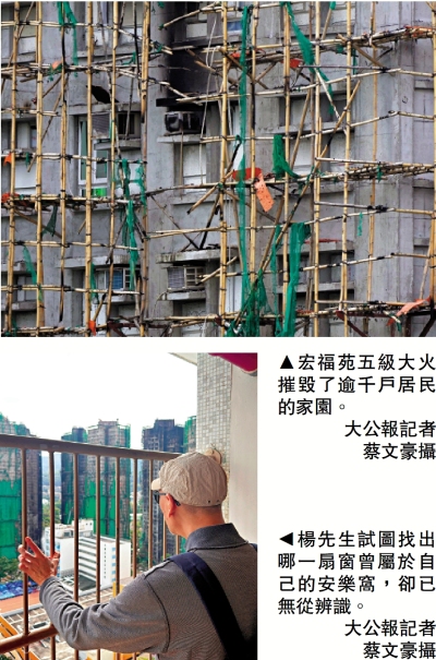 特稿/災民獲充足支援：政府效率高