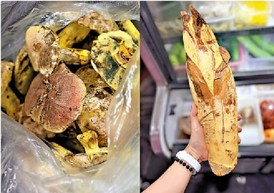 樂 活/滇西美食寶藏傣味餐桌\潘 少