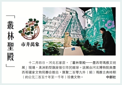 市井萬象/「叢林聖殿」