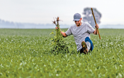 美國農民遭關稅反噬 特朗普推援助方案