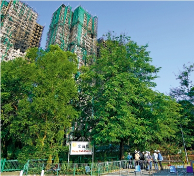 關注災民精神健康機構提供三層支援