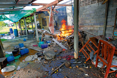 特朗普稱「調停」成功 泰柬互轟未停火