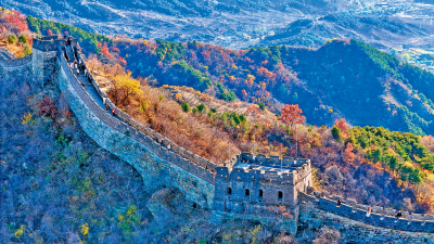 七日談（北京篇）/為什麼迎客松下科技興\葉 梅