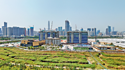 特首述職/局長：習主席為香港未來發展指明方向 深度參與灣區建設 在變革中開創新局