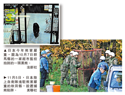 日本7個月內撲殺近萬頭熊