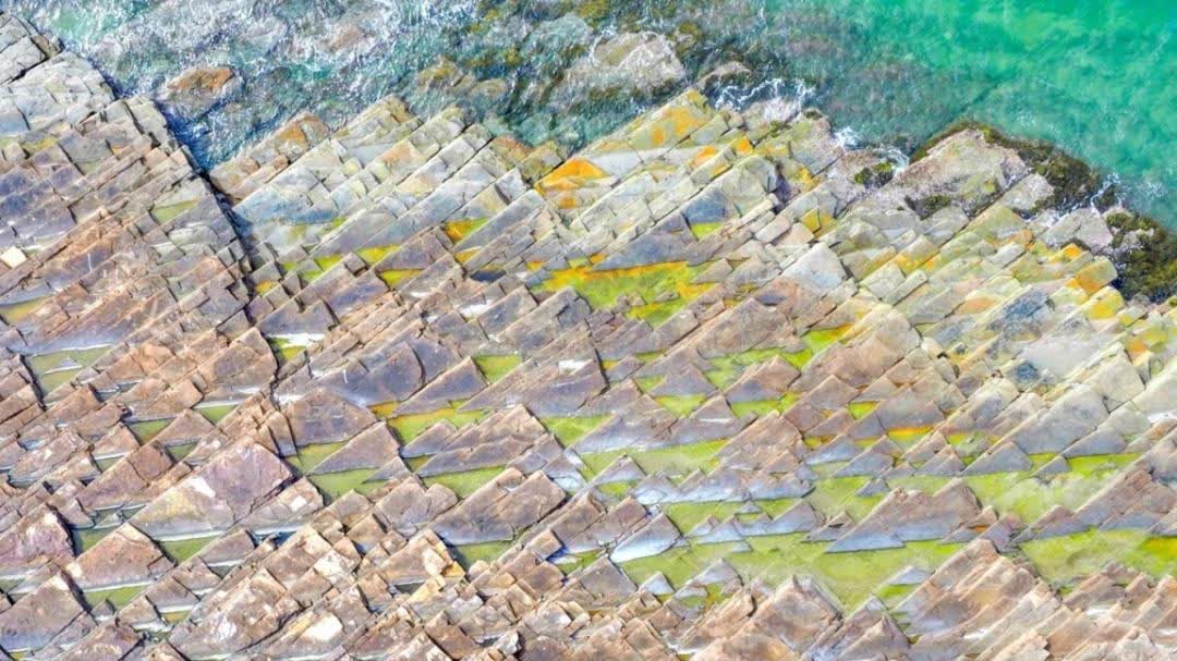 港首獲殊榮　大鵬灣獲選全國美麗海灣