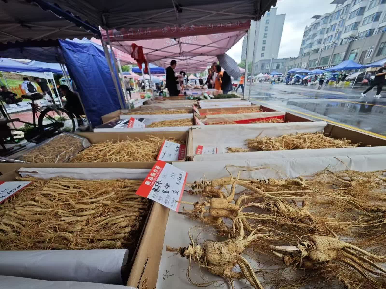 吉林人蔘主產于吉林省長白山區，以其獨特的品質和功效被譽為「百草之王」。‌

吉林人蔘產業規模持續擴大，2025年前三季度出口額達5454萬元人民幣，同比增長9.9%。‌吉林人蔘產業不斷向標準化、精深加工和國際化發展，目標是打造千億級產業。‌