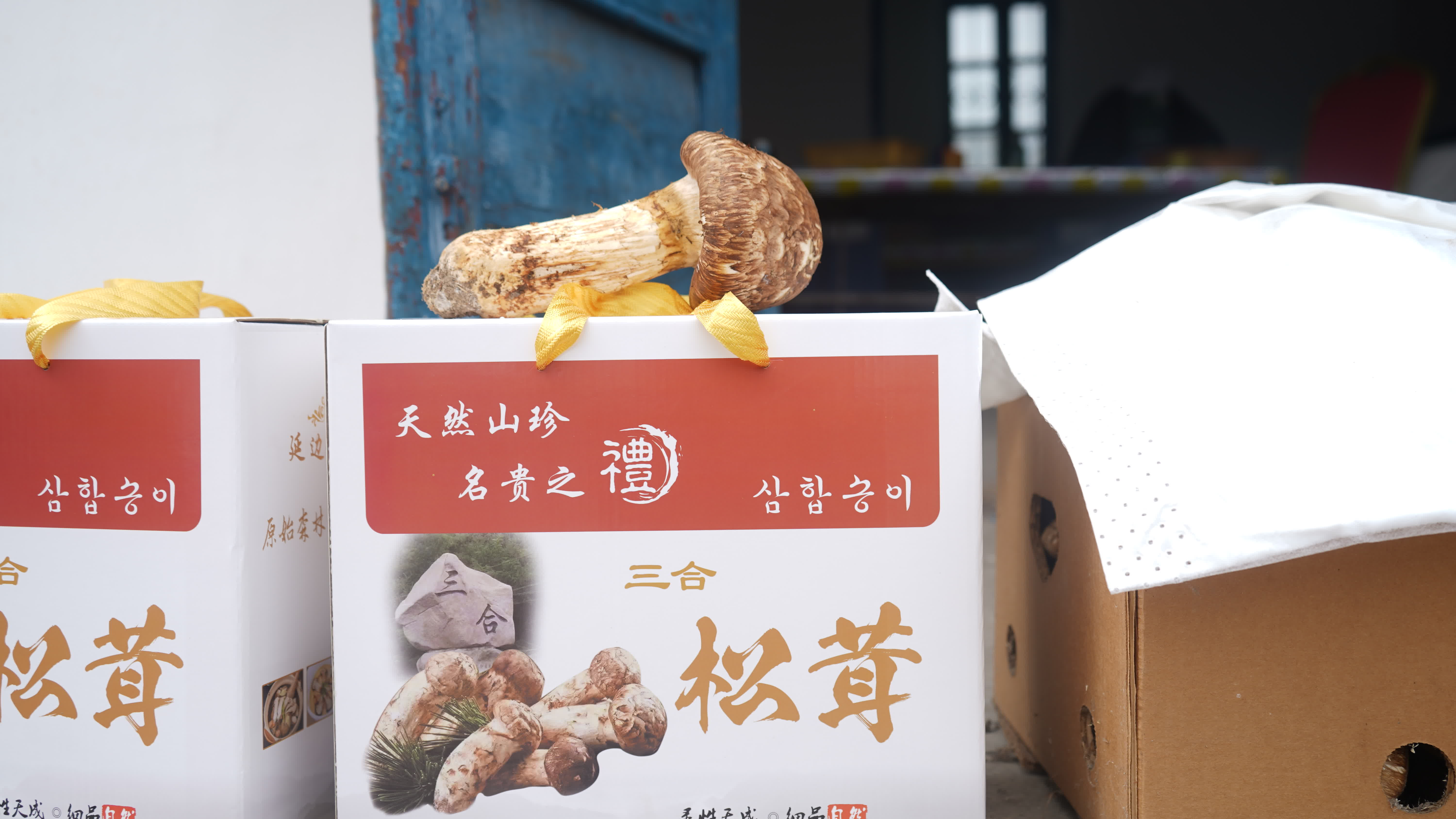 吉林松茸，是吉林省長白山地區特產的野生食用菌，歷史上被視為山珍，日本古代曾作貢品，現代延邊松茸通過冷鏈空運保持新鮮，凸顯其高端地位。‌

其經濟上被譽為「黃金菇」，國際市場價達每噸3-5萬美元，延邊地區年均出口量約90-180噸，主要銷往日本、韓國，年創匯超1.8億美元，2024年龍井市產量達45噸。‌