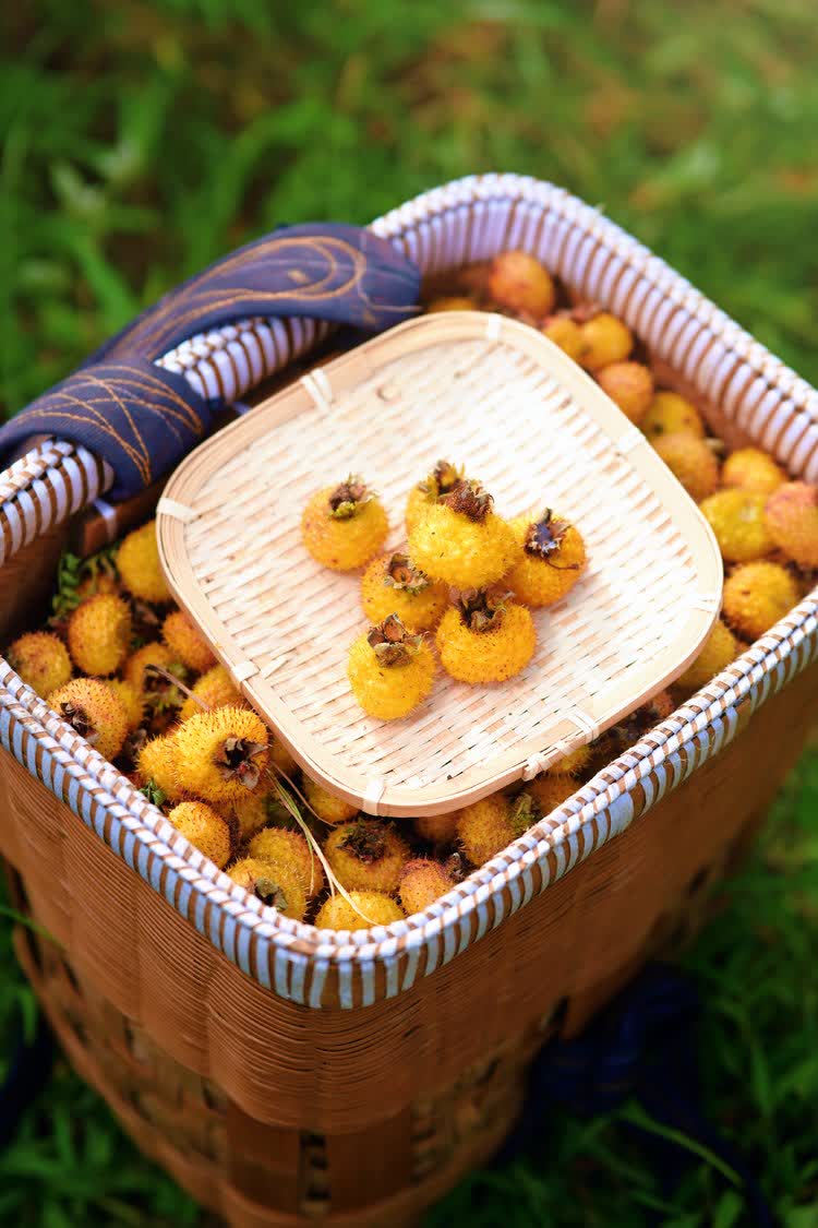 「維C之王」貴州刺梨如今已蛻變為富民強省的「黃金產業」。2025年全省種植面積穩定在210萬畝，鮮果產量達39萬噸，綜合產值突破150億元，佔全國總產量的90%以上，成為名副其實的全國刺梨產業核心區。

其以獨特魅力加速走向國際市場，尤其在香港市場表現亮眼。2025年香港創業日博覽會上，刺梨產品成為爆款。