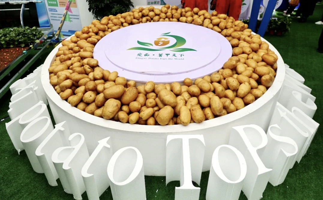 定西馬鈴薯，甘肅省定西市特產，中國國家地理標誌產品。

定西種植馬鈴薯已有200多年的歷史。定西馬鈴薯是多年生草本，但作一年生或一年兩季栽培。地下塊莖呈圓、卵、橢圓等形，有芽眼，皮紅、黃、白或紫色。地上莖呈棱形，有毛，奇數羽狀複葉。聚傘花序頂生，花白、紅或紫色；漿果球形，綠或紫褐色；種子腎形，黃色。

2017年12月29日，原國家質檢總局批准對「定西馬鈴薯」實施地理標誌產品保護。2019年11月，入選中國農業品牌目錄2019農產品區域公用品牌。